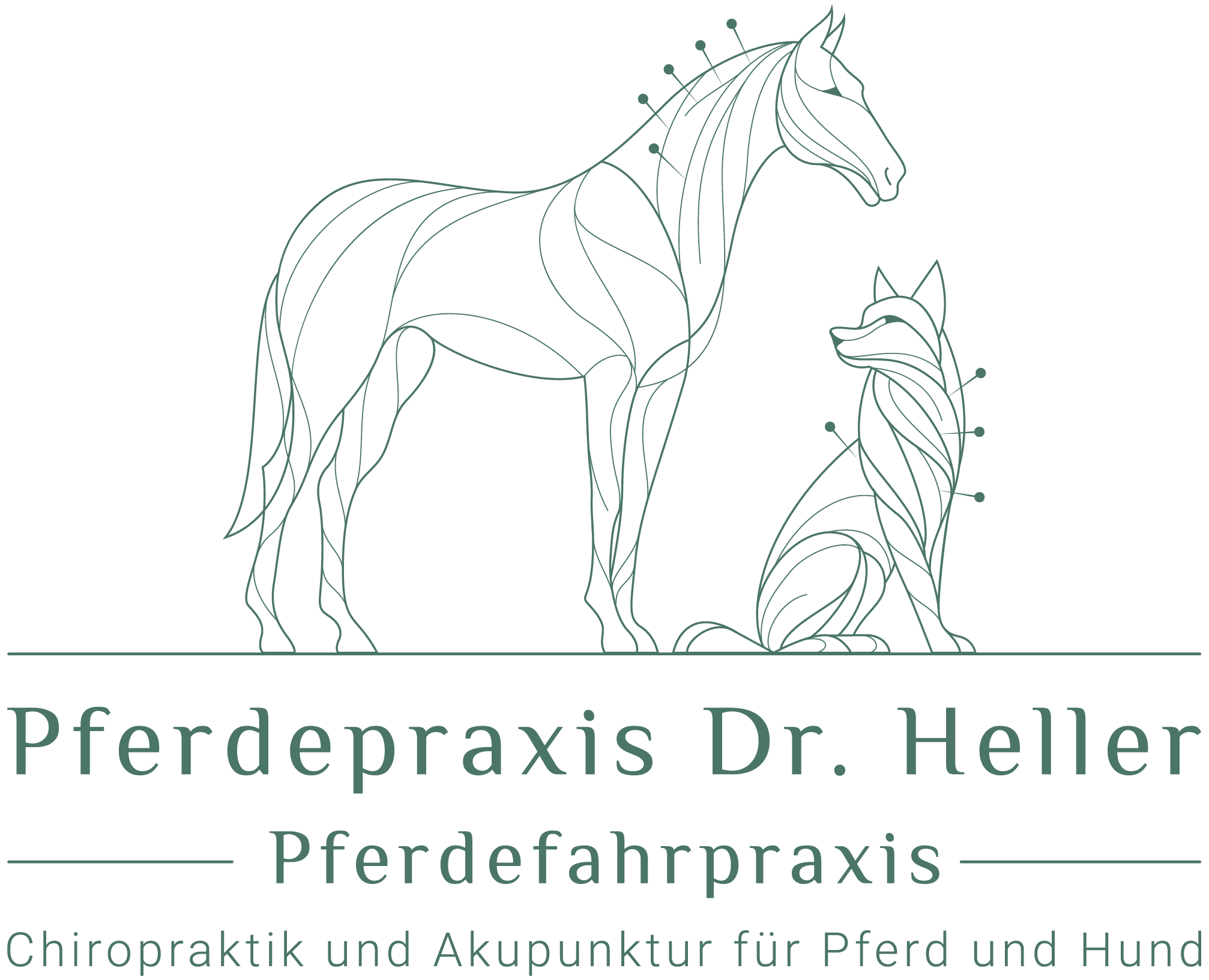 Pferdepraxis Dr. Heller